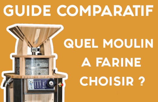 36858-quel_moulin_a_farine_choisir.jpg