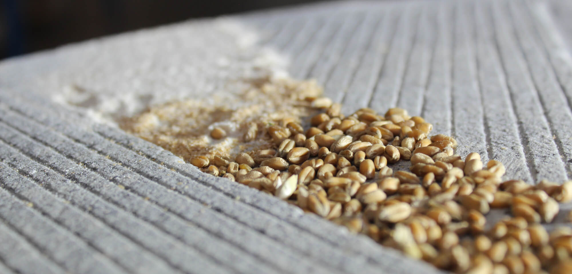 Nous innovons, pour créer de la valeur Localement et Durablement