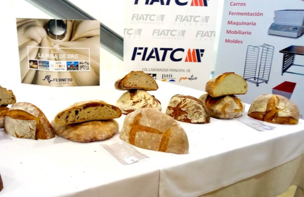 concurso_de_panaderia_1050