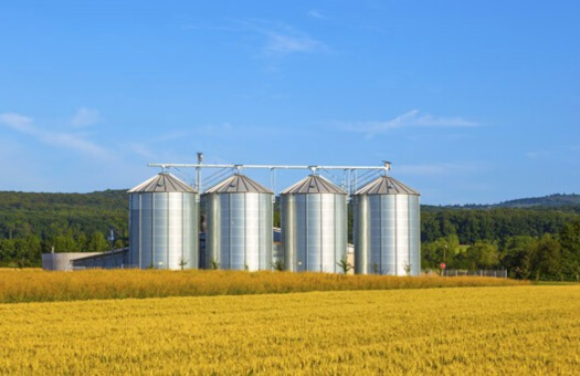 Retrouvez ici des solutions pour valoriser le grain des adhérents de la coopérative