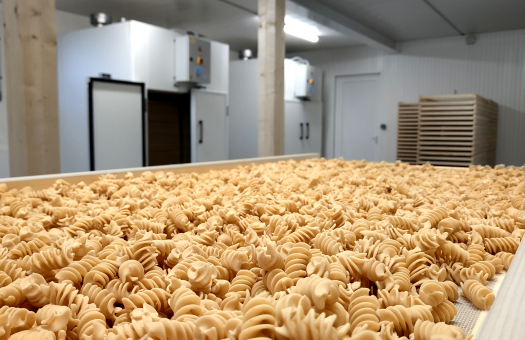 plateaux de séchage facile à manipuler dans votre local plateaux-sechage-manipulation-facile