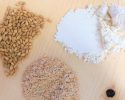 Un bon déroulé du grain à froid en un seul passage farine-de-meules