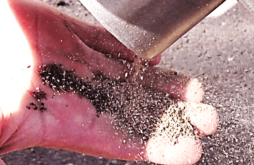 La brosse à grains BG600 efficace pour retirer les impuretés et réduire les risques de contamination en ochratoxyne A brosse-a-grains-BG600-efficace-pour-retirer-les-impuretes-ochratoxyne-a