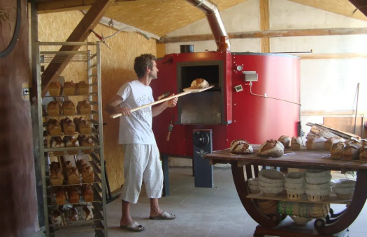 Céline et Damien cultivent et transforment leurs céréales en pains au levain et pâtes Bio paysan-boulanger-ardeche