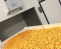 Pâtes fusillis réalisées à la ferme - pâtes fermières atelier_pates_fermieres_pates_a_la_ferme